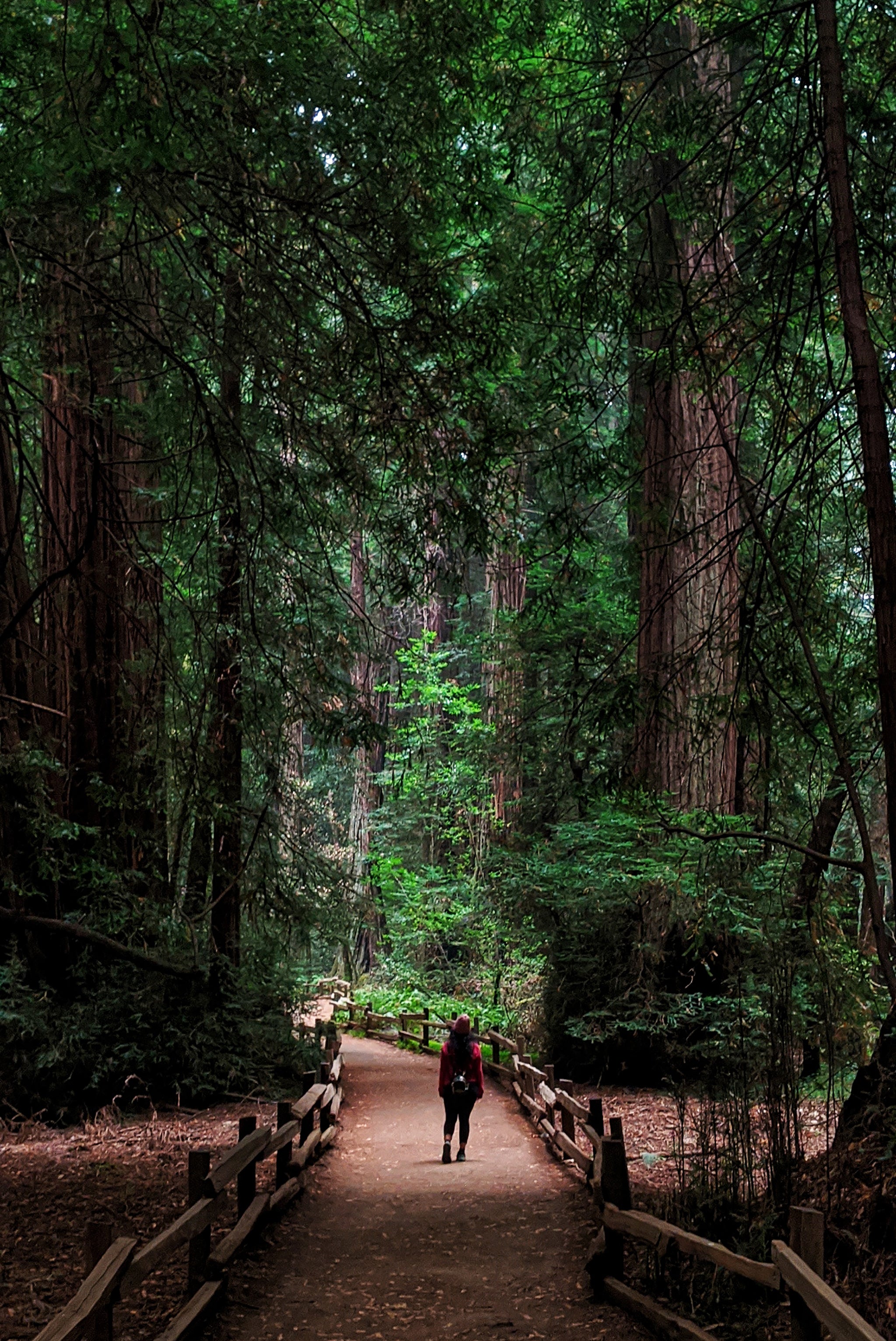 SAY HI TO A NUTS, SEEDS AND 🍕 OBSESSED RECIPE DEVELOPER + SMARTBITE COLLABORATOR NIVE